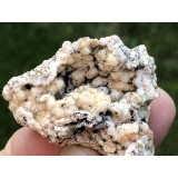 Chalcedon